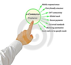 Presenting Eight e-Commerce Features