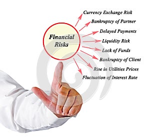 Presenting Eight Financial Risks