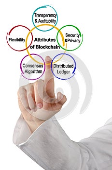 Five Attributes of Blockchain