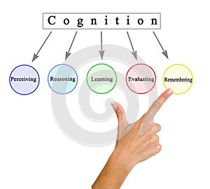Five Components of  Cognition