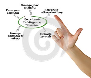 Emotional Intelligence Domains
