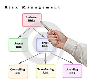 Risk management