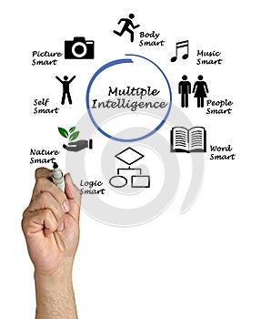 Presenting Multiple Intelligence