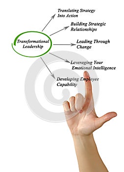 Transformational Leadership photo