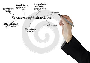 Seven Features of Debentures