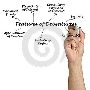 Seven Features of Debentures