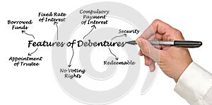 Seven Features of Debentures
