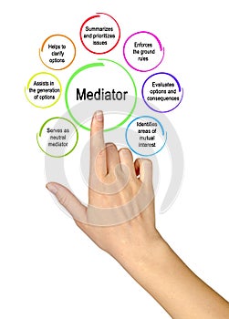 Presenting functions of mediator