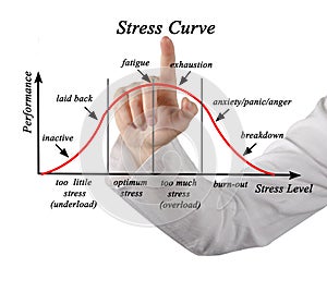 Stress and Performance Curve