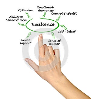 What contribute to resilience photo
