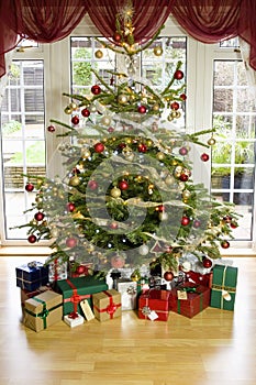 Presents under an illuminated christmas tree
