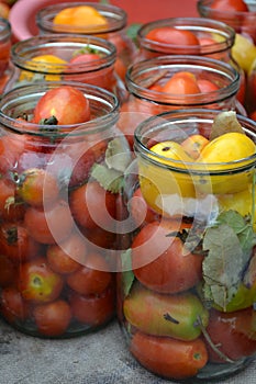 Preservation. Blanks for the winter. Marinated tomatoes