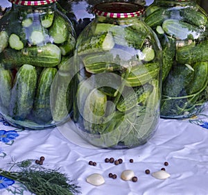 Preservation of cucumbers for the winter