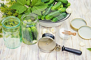 Preservation of fresh house cucumbers.