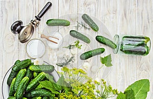 Preservation of fresh house cucumbers.