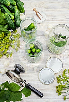 Preservation of fresh house cucumbers.