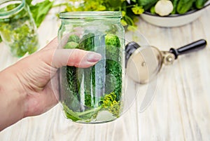 Preservation of fresh house cucumbers.