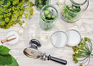 Preservation of fresh house cucumbers.