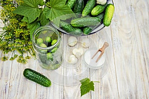 Preservation of fresh house cucumbers.