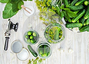 Preservation of fresh house cucumbers.