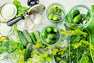 Preservation of fresh house cucumbers. Selective focus.