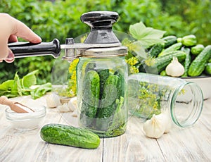 Preservation of fresh house cucumbers. Selective focus