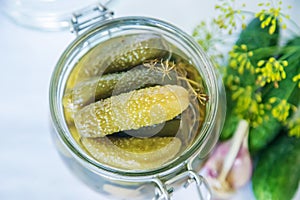 preservation of fresh house cucumbers. Selective focus