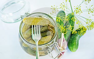 preservation of fresh house cucumbers. Selective focus