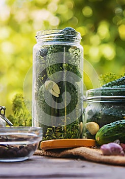 preservation of fresh house cucumbers. Selective focus