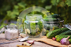 preservation of fresh house cucumbers. Selective focus