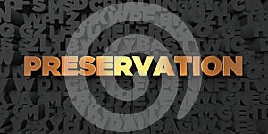 Preservation - Gold text on black background - 3D rendered royalty free stock picture