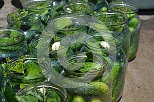 Preservation. Marinated Cucumber. Cucumbers in jars. Pepper