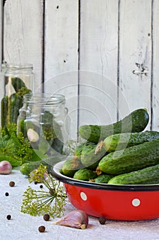 Preservation of pickling cucumber. Preparation of conservation from organic vegetables on a light background. Homemade organic cru