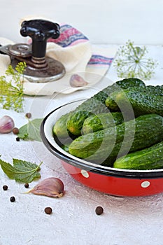 Preservation of pickling cucumber. Preparation of conservation from organic vegetables on a light background. Homemade organic cru