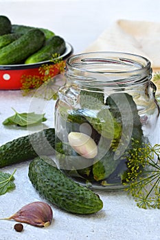 Preservation of pickling cucumber. Preparation of conservation from organic vegetables on a light background. Homemade organic cru