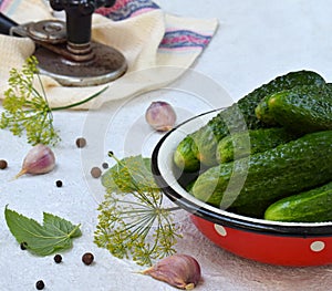 Preservation of pickling cucumber. Preparation of conservation from organic vegetables on a light background. Homemade organic cru