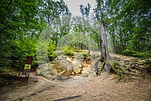 The preserve Star HVEZDA at the White Mountain in Prague, Czech Republic