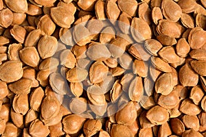 Preserved apricot nut