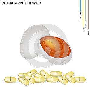 Preserved Egg with Protein, Fat, Vitamin B12 and Riboflavin