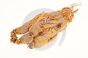 Preserved Ginseng Roots photo