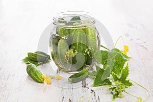 Preserved pickles in glass jar.