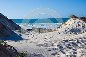 Preserved sand dunes in Baleal, Peniche, Portugal