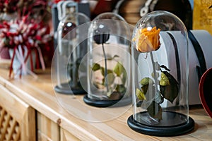 Preserved Stabilized Roses in flower florist shop, boutique. Flower Head Preserved, Infinity Rose in Glass Dome, Made photo