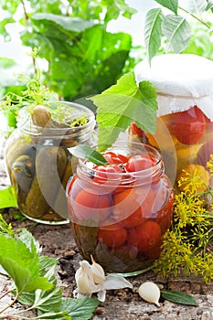 Preserved vegetables