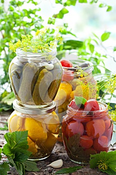 Preserved vegetables photo