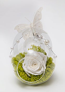 Preserved white rose arrangement, everlasting flowers