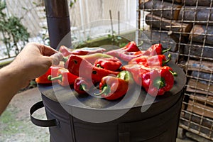 Preserving Autumn's Bounty: Roasting Red Peppers for Ajvar