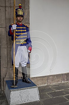 President Guard