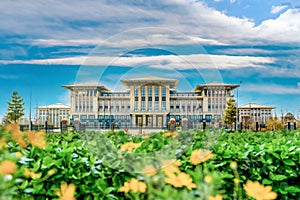 Presidential Office with blur yellow flower, Ankara photo