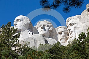 Presidents on Mount Rushmore framed by trees photo